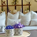 ホテル Veneziano Lefkada 4*