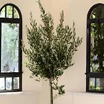 호텔 Veneziano Lefkada