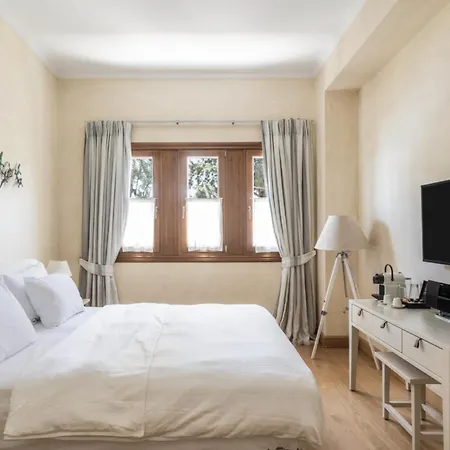 Veneziano Lefkada 호텔 4*